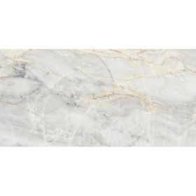 Unica Target I Marmi Borbone Glossy 60x120 cm Yer-Duvar Karosu