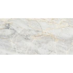 Unica Target I Marmi Borbone Glossy 60x120 cm Yer-Duvar Karosu