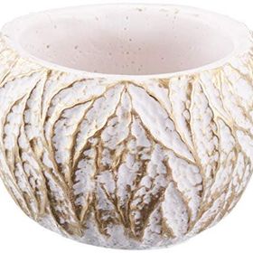 UniqueHome UV-A10-5 Leaf Skulent Vazo