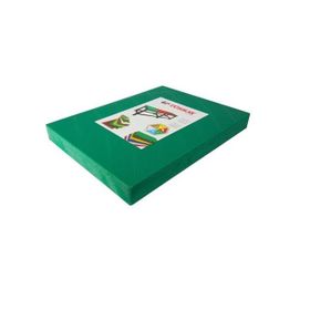 Ünsal Showroom Türkay Polietilen Yeşil 60x40x4 cm Kesme Tahtası