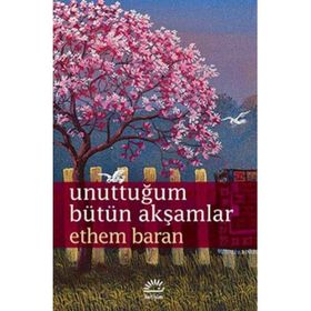 Unuttuğum Bütün Akşamlar - Ethem Baran