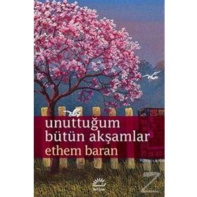 Unuttuğum Bütün Akşamlar - Ethem Baran