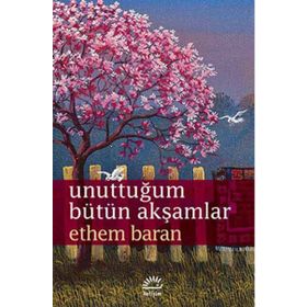Unuttuğum Bütün Akşamlar - Ethem Baran