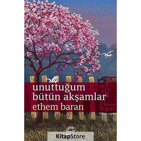 Unuttuğum Bütün Akşamlar - Ethem Baran