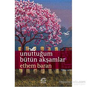 Unuttuğum Bütün Akşamlar - Ethem Baran