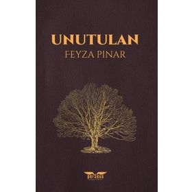 Unutulan - Feyza Pınar