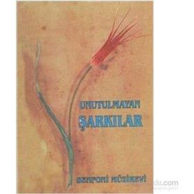 Unutulmayan Şarkılar - kollektif