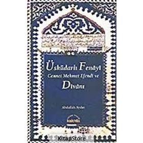 ÜSKÜDARLI FENAYI CENNET MEHMET EFENDI VE DİVANI - ABDULLAH AYDIN