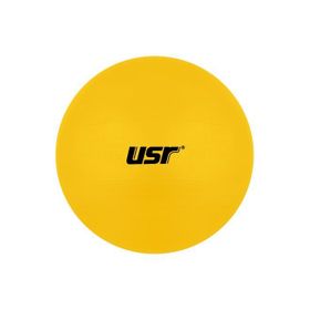 USR GB654 65 cm Sarı Pilates Topu