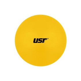 USR GB654 65 cm Sarı Pilates Topu
