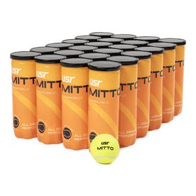 USR Mitto 24 Kutu Tenis Antrenman Topu