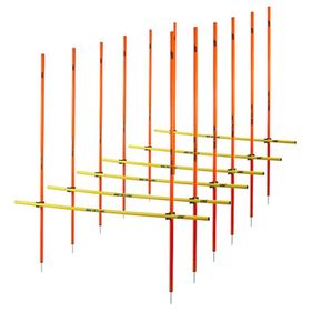 Usr S25ct Çivili Slalom Engel Seti