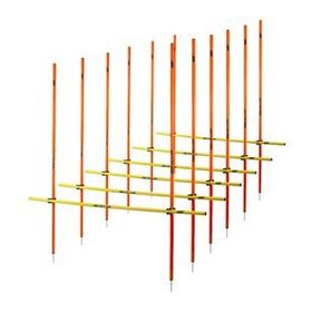 Usr S25ct Çivili Slalom Engel Seti
