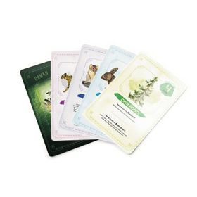 Usturlab Ekosistem Besin Zinciri Kutu Oyunu Midi Boy