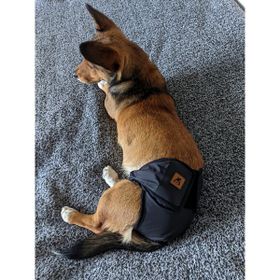 Utd Pet Siyah Pedli Yıkanabilir Dişi Köpek Çiş ve Regl Külodu