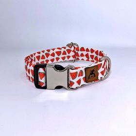 Utd Pet XL Watermelon Köpek Boyun Tasması
