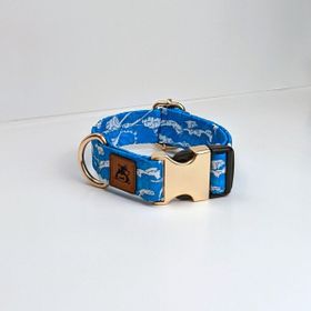 Utd Pet XL Waves Köpek Boyun Tasması