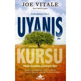 UYANIŞ KURSU - JOE VITALE