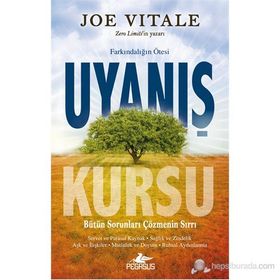 UYANIŞ KURSU - JOE VITALE