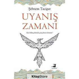 Uyanış Zamanı-Şebnem Tacigut