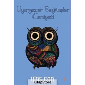 Uyurgezer Baykuşlar Cemiyeti - Ulaş Can
