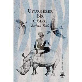 Uyurgezer Bir Gölge - Serkan Türk
