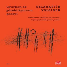 Uyurken de Görebiliyorsun Geceyi - Selahattin Yolgiden