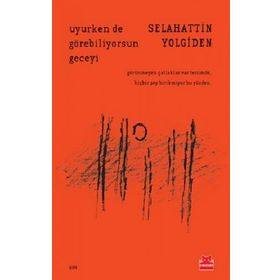 Uyurken de Görebiliyorsun Geceyi - Selahattin Yolgiden