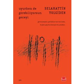 Uyurken de Görebiliyorsun Geceyi - Selahattin Yolgiden