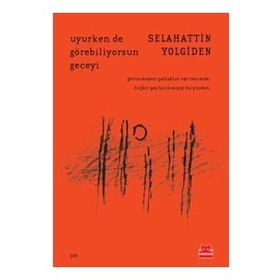 Uyurken de Görebiliyorsun Geceyi - Selahattin Yolgiden