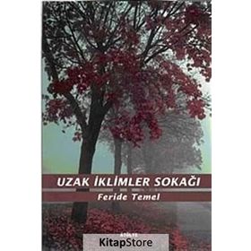 UZAK İKLİMLER SOKAĞI - FERIDE TEMEL