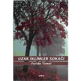 UZAK İKLİMLER SOKAĞI - FERIDE TEMEL