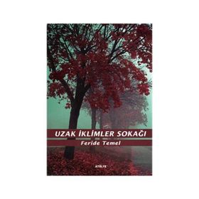 UZAK İKLİMLER SOKAĞI - FERIDE TEMEL