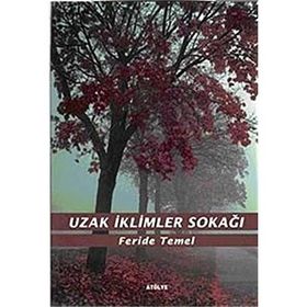 UZAK İKLİMLER SOKAĞI - FERIDE TEMEL