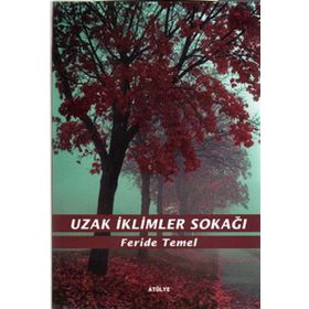 UZAK İKLİMLER SOKAĞI - FERIDE TEMEL