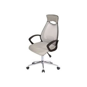 Uzay Efe Gri Ofis Çalışma Koltuğu