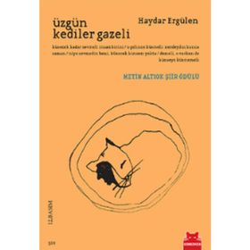 ÜZGÜN KEDILER GAZELI - HAYDAR ERGÜLEN