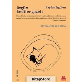 ÜZGÜN KEDILER GAZELI - HAYDAR ERGÜLEN