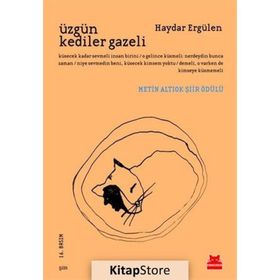 ÜZGÜN KEDILER GAZELI - HAYDAR ERGÜLEN