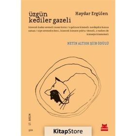 ÜZGÜN KEDILER GAZELI - HAYDAR ERGÜLEN
