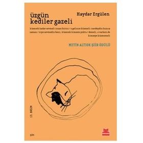 ÜZGÜN KEDILER GAZELI - HAYDAR ERGÜLEN