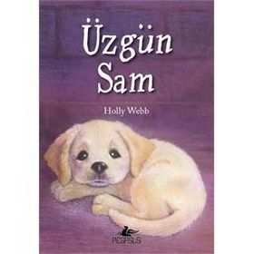 Üzgün Sam - Holly Webb