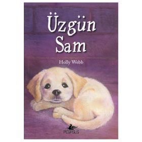 Üzgün Sam - Holly Webb