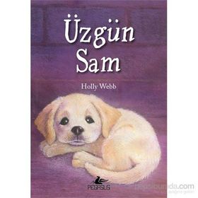 Üzgün Sam - Holly Webb