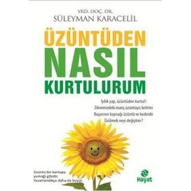 Üzüntüden Nasıl Kurtulurum - Süleyman Karacelil