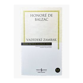 Vadideki Zambak İş Bankası Kültür Yayınları