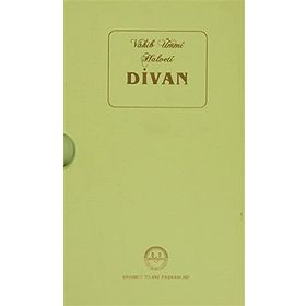 Vahib Ümmi Halveti Divanı - Mustafa Tatcı