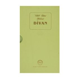 Vahib Ümmi Halveti Divanı - Mustafa Tatcı