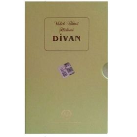 Vahib Ümmi Halveti Divanı - Mustafa Tatcı