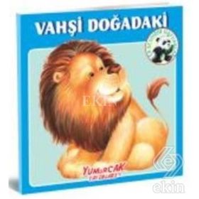 Vahşi Doğadaki En Sevdiğim Hayvanlar Kitabı - kollektif